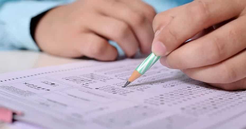 carrera pedagogía educación básica
